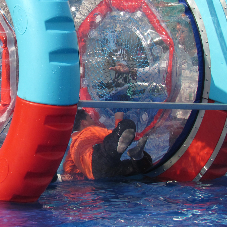 Rueda de agua FLWW-10001